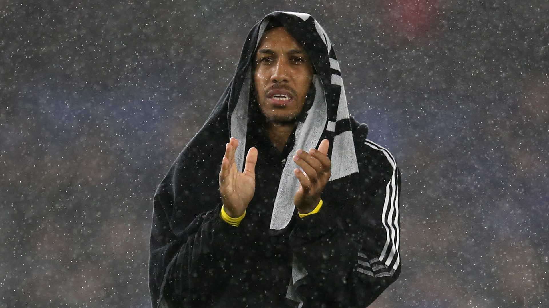 在職業生涯 在職業生涯